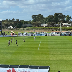 Bulldogs - Supporter Memberships Season